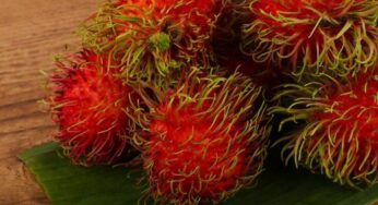 Berapa Kadar Gula Rambutan? Simak Penjelasannya