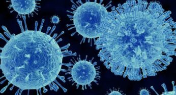 Wabah Norovirus Serang Kapal Pesiar, Ratusan Penumpang Alami Muntah-Diare