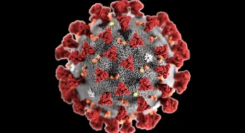 Waspada MERS-CoV: Virus yang Mengancam di Arab Saudi