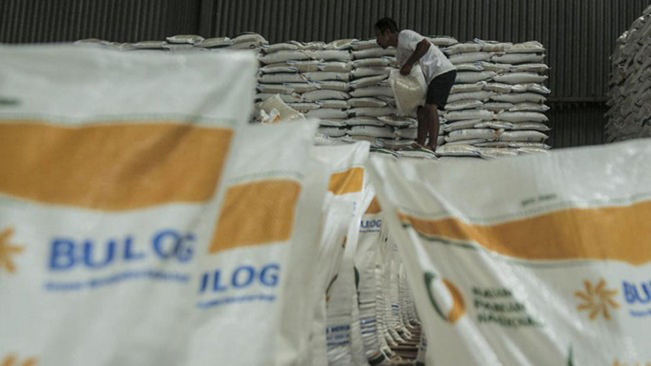 Bos Bulog Ungkap Penyebab Kerugian Rp550 Miliar pada 2025