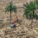 Kasus Kayu Gelondongan Banjir Sumatera Masuk Babak Penentuan, Polisi Segera Tetapkan Tersangka