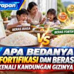 Apa Bedanya Beras Fortifikasi dan Beras Biasa? Kenali Kandungan Gizinya